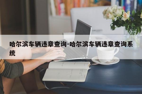 哈尔滨车辆违章查询-哈尔滨车辆违章查询系统