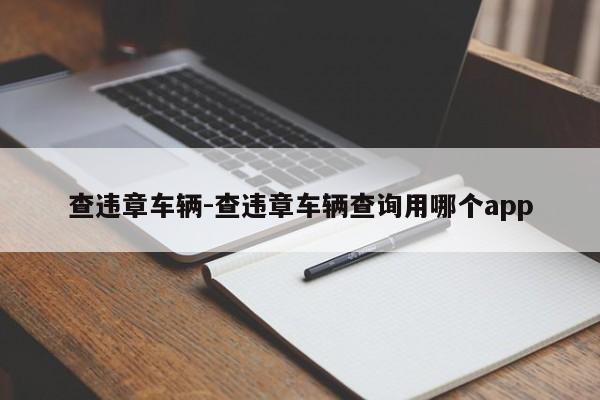 查违章车辆-查违章车辆查询用哪个app