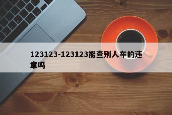 123123-123123能查别人车的违章吗