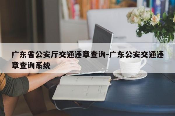 广东省公安厅交通违章查询-广东公安交通违章查询系统