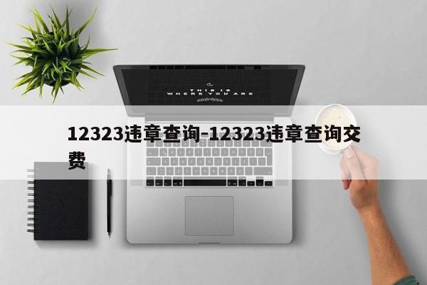 12323违章查询-12323违章查询交费