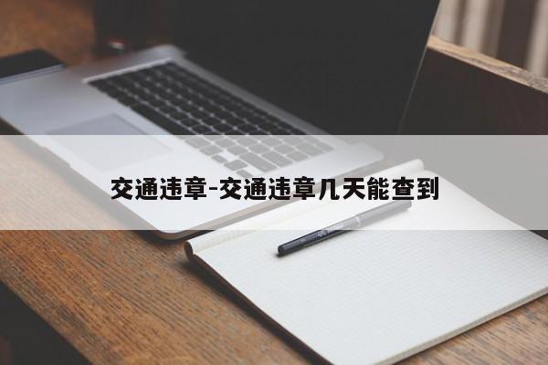 交通违章-交通违章几天能查到