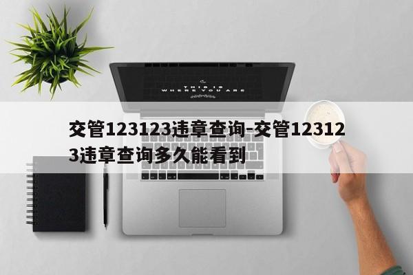 交管123123违章查询-交管123123违章查询多久能看到