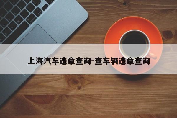 上海汽车违章查询-查车辆违章查询