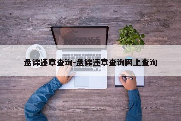 盘锦违章查询-盘锦违章查询网上查询