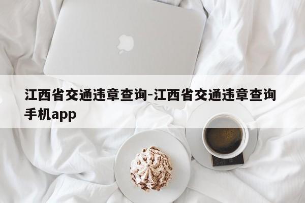 江西省交通违章查询-江西省交通违章查询 手机app