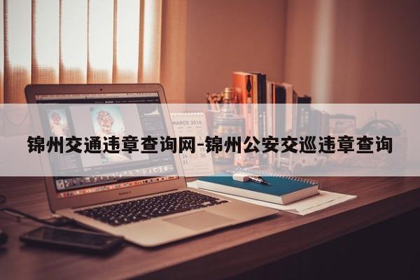 锦州交通违章查询网-锦州公安交巡违章查询