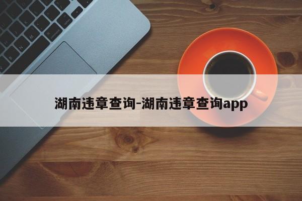 湖南违章查询-湖南违章查询app