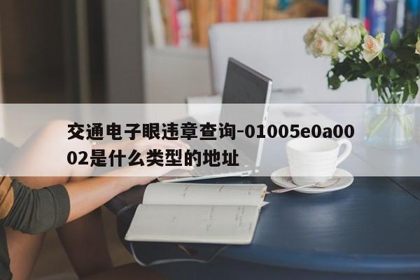 交通电子眼违章查询-01005e0a0002是什么类型的地址