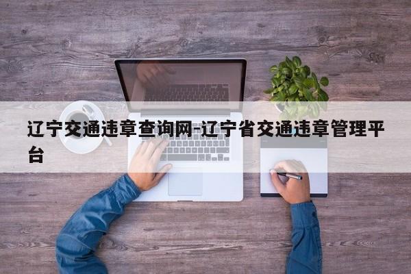 辽宁交通违章查询网-辽宁省交通违章管理平台